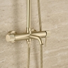 душевая система Rea Lungo Stripe brushed gold (REA-P9490)