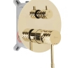душевая система Rea Lungo Diamond скрытого монтажа, gold + box (REA-P6964)
