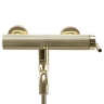 смеситель для ванны Rea Argon gold (REA-B7805)