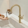 смеситель для кухни Rea Fresh high с выдвижным изливом brushed gold (REA-B7201)