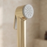 гигиенический набор Rea Argus brush gold (REA-B9893)