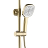 душевая система Rea Storm brushed gold (REA-P9535)